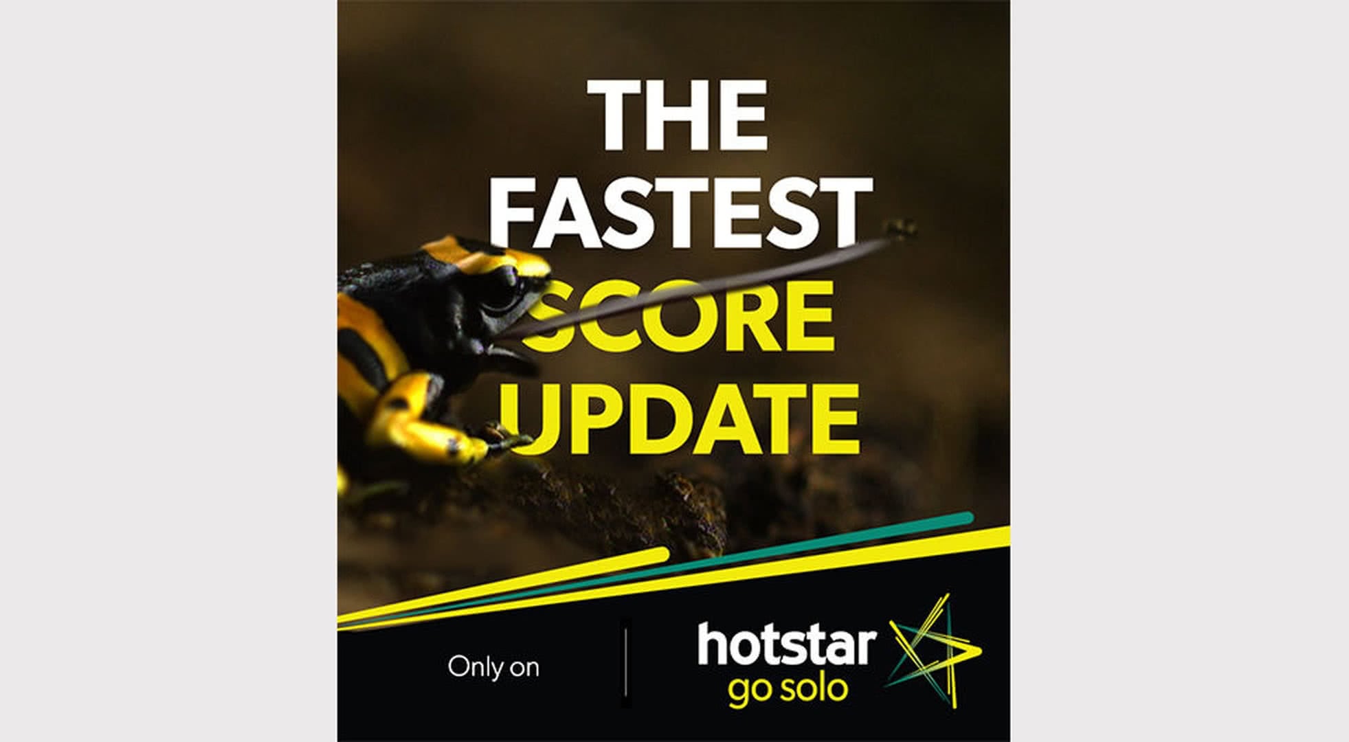 Hotstar score live new arrivals